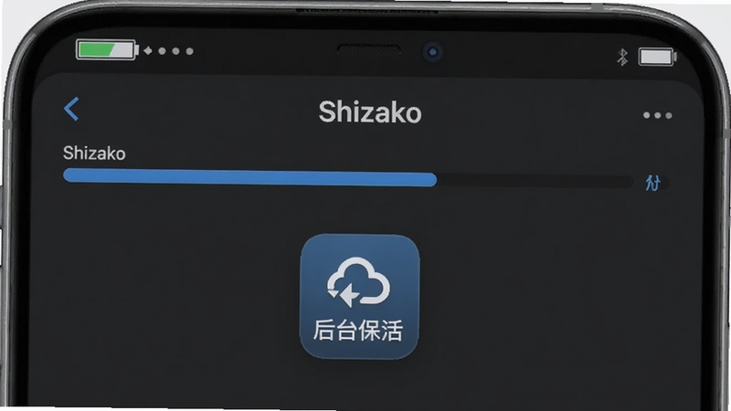 Shizako ���ع������棬��ʾ�������������У�����Ϊ���ɫ��ͻ������̨���ͼ�꣬�ֻ�״̬����ʾ���ͼ�꣬��ʾ�͹��ģ������࣬�Ƽ��У��޶���Ԫ��