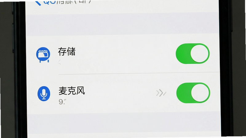 主体为手机设置界面截图,布局显示应用权限列表,背景为白色,排版列表式,风格系统原生UI,细节包含“存储”和“麦克风”权限开关被点亮为绿色,画质清晰,干净,无多余元素