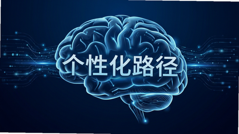 主体为抽象的数据流线条汇聚成大脑形状,背景为深蓝色渐变,布局中心突出“个性化路径”字样,风格极简未来感,细节体现数据流动的光效,画质细腻,干净无噪点