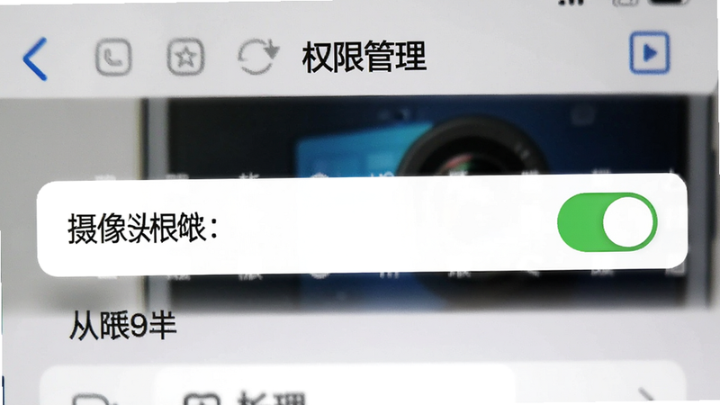 一张手机设置界面的截图风格图,显示“权限管理”选项,摄像头权限开关为开启状态,背景模糊,突出权限设置的重要性,简洁明了,高对比度,清晰可读。
