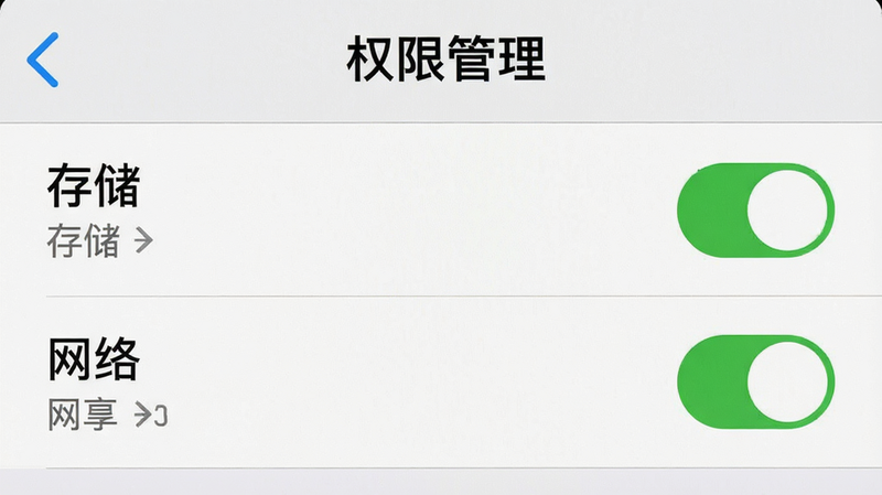 手机设置界面截图风格,主体为“权限管理”页面,显示“存储”和“网络”权限已开启,布局为列表形式,排版清晰,风格系统原生UI,细节真实,画质清晰,无多余图标