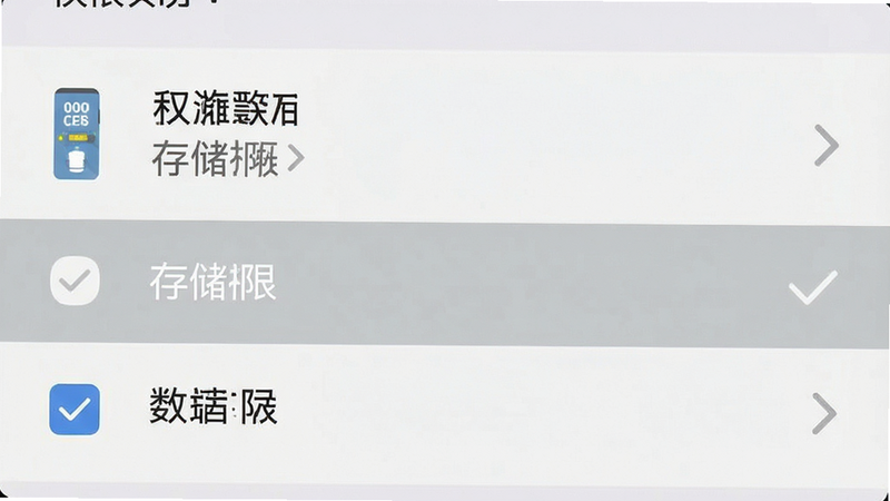 主体为手机设置界面截图,显示权限管理列表,背景为浅灰色,布局清晰分行,排版规整,风格扁平化 UI 设计,细节处有勾选标记和图标,文字“存储权限”被高亮显示,画质清晰,干净,无多余元素