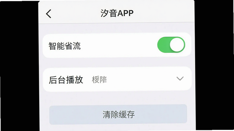 汐音APP设置界面截图,展示“智能省流”开关、“后台播放”权限设置项及“清除缓存”按钮,界面简洁,文字清晰,背景为白色,布局垂直排列,风格实用主义,高清,干净,无多余元素