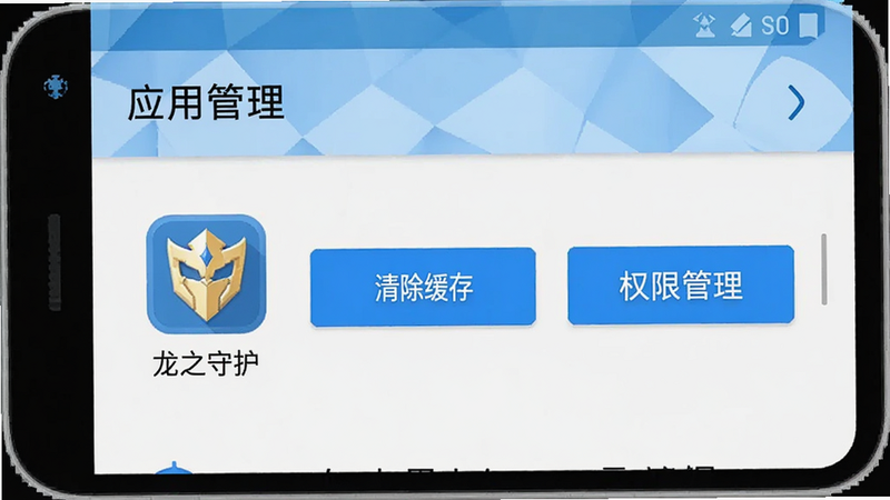 生成一张手机设置界面的示意图,显示“应用管理”页面,突出“龙之守护”应用图标,旁边有“清除缓存”、“权限管理”按钮高亮显示,界面风格简洁,白色背景,蓝色高亮条,文字清晰,无其他干扰元素,模拟安卓系统原生UI