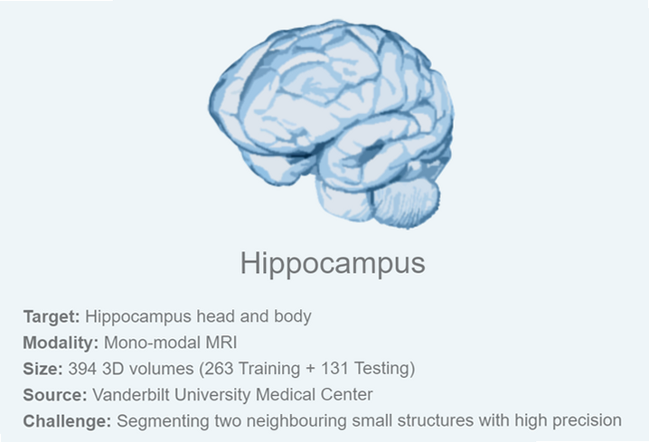 Hippocampus Core ��׿�� �û�������ڱ�