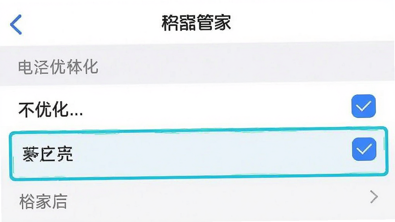 一张手机设置界面截图,显示‘格力管家’应用的电池优化选项,勾选了‘不优化’,布局清晰,高亮显示关键选项,风格简洁,画质清晰,无多余水印