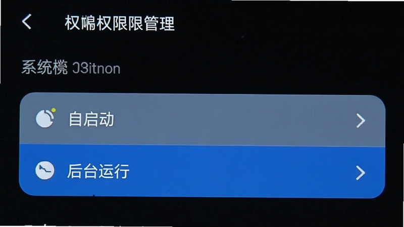 主体为手机设置界面截图,布局为系统权限管理页面,高亮显示“自启动”和“后台运行”选项,风格简洁,细节清晰,画质高,干净,无多余元素