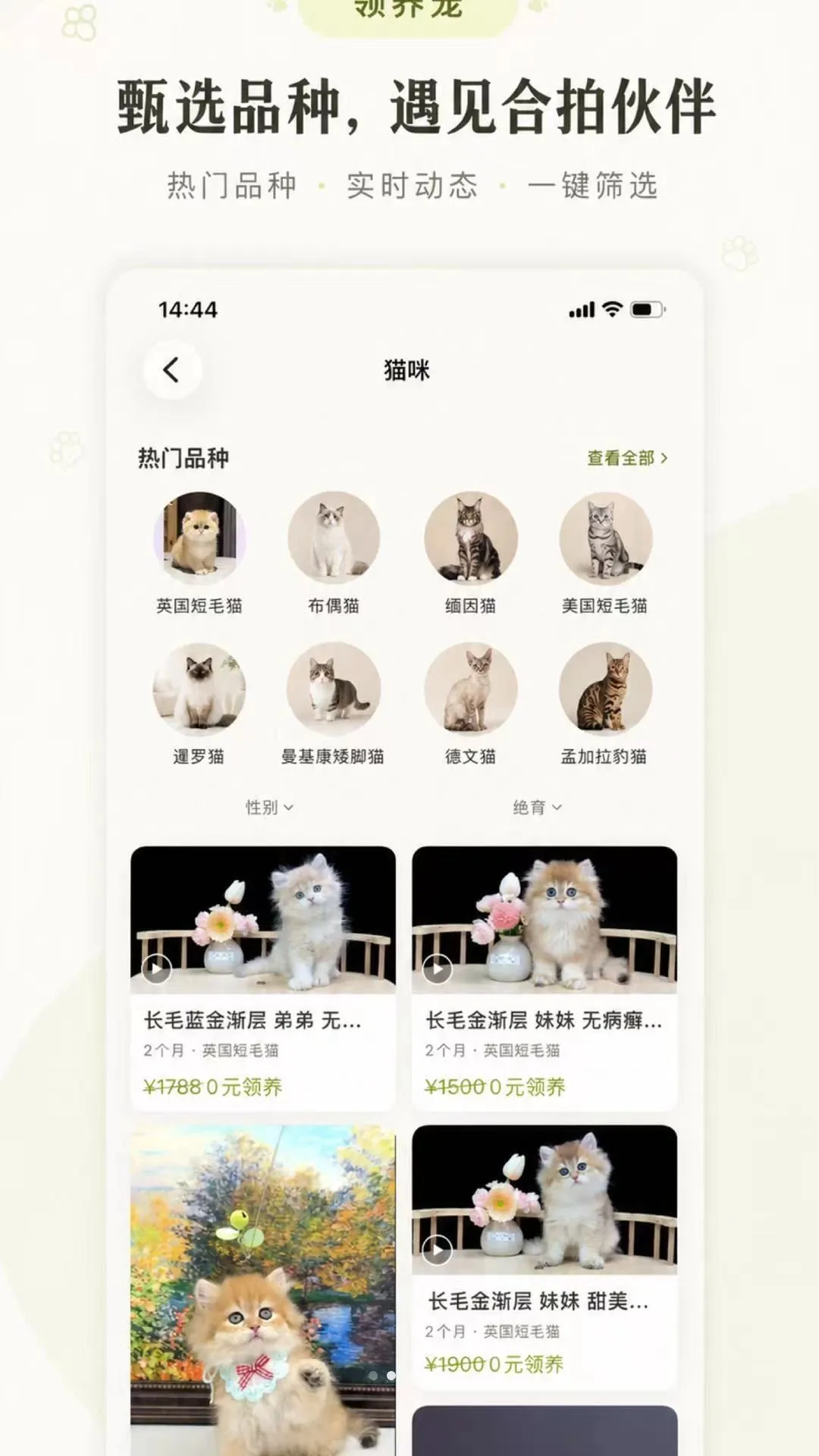领养宠APP 领养宠APP