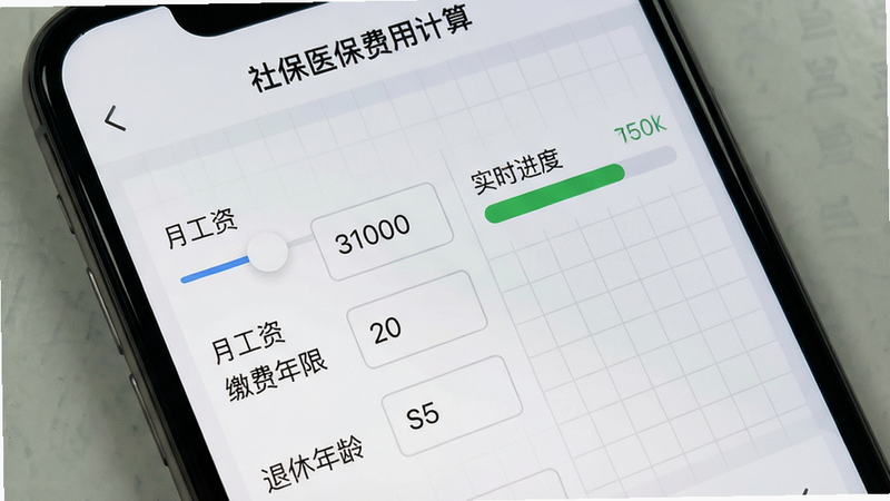 手机屏幕特写,显示“社保医保费用计算”APP的输入界面,界面左侧为滑动条和数字输入框,分别标注“月工资”、“缴费年限”、“退休年龄”,右侧实时显示计算进度条,背景为浅灰色网格,UI元素简洁清晰,字体为无衬线黑体,风格极简,画质清晰,无多余装饰