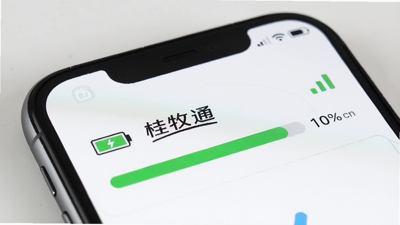 手机显示