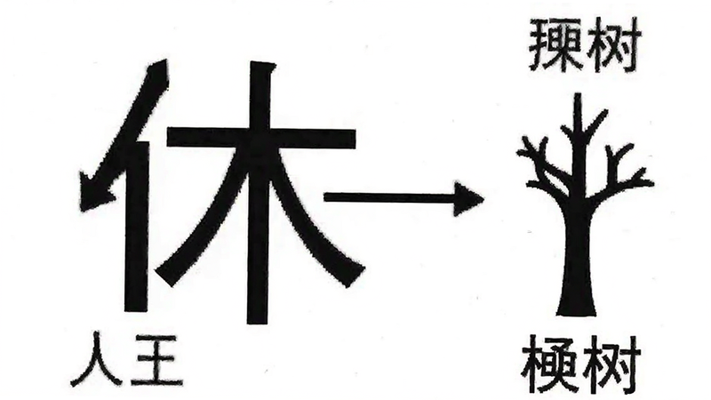 Boogu-Image prompt: A diagram illustrating the structure of the Chinese character