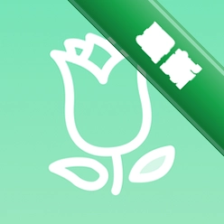 ��ɫʶ��