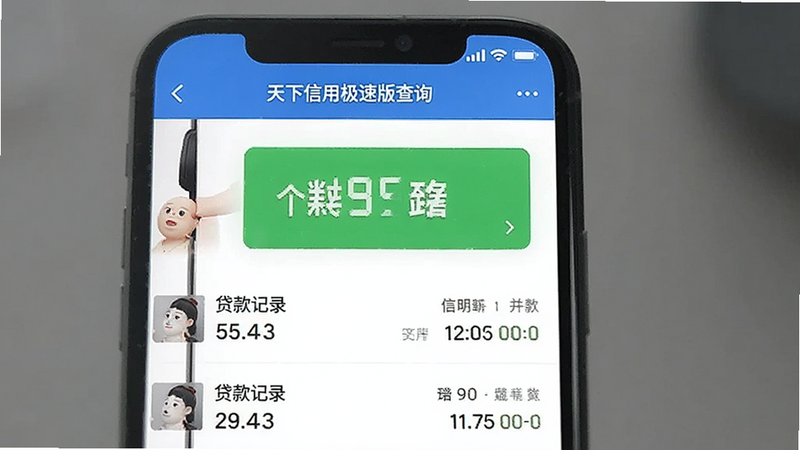 天下信用极速版查询结果界面,显示绿色高亮信用评分数字,列表式展示贷款记录,简洁明了,移动端UI风格