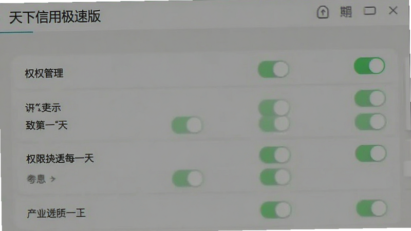 天下信用极速版设置界面截图,权限管理选项清晰显示,绿色开关状态,简洁列表