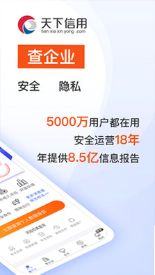 天下信用极速版支付页面截图