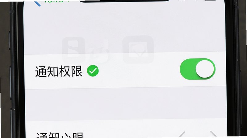 主体为手机设置界面,显示“通知权限”开关为开启状态,旁边有绿色对勾图标。布局为垂直列表,风格为系统原生设置界面风格,细节清晰展示开关状态,画质高清,干净,无多余元素。