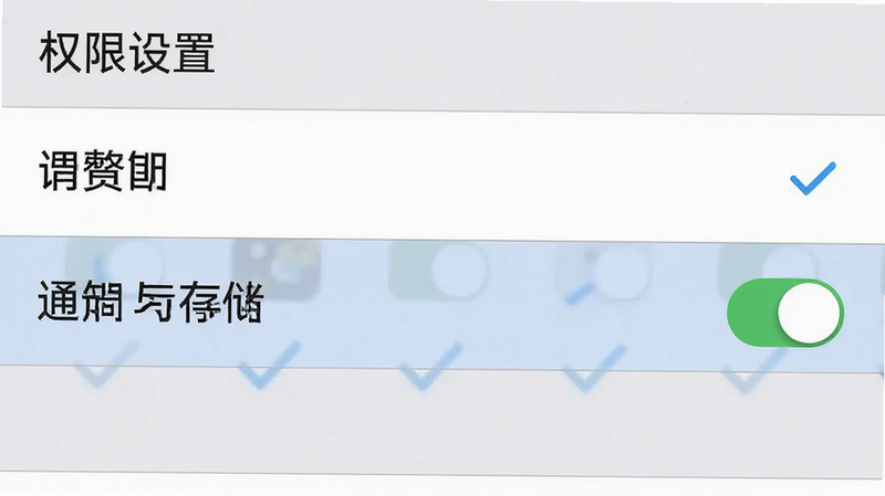 展示手机设置界面中权限管理的截图,布局为列表形式,高亮显示通知与存储权限开关,排版清晰,风格为系统原生灰白色,细节包含勾选状态图标,画质清晰,干净无多余元素,文字显示“权限设置”