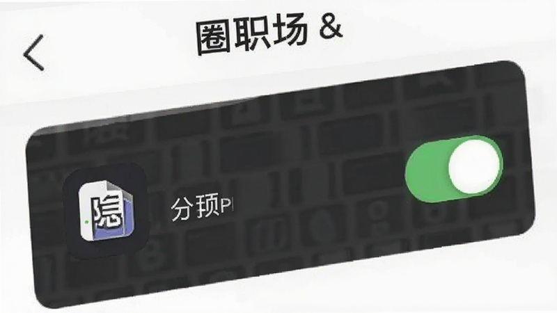 对圈职场app设置界面,显示隐私选项开关,图标简洁,文字清晰,无多余元素