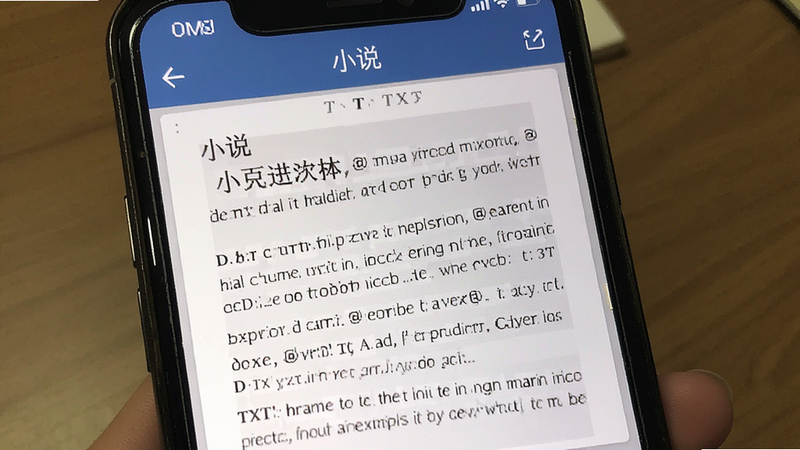 “小说”APP内部渲染一个TXT文件,显示流畅的段落排版,手机界面截图风格,高清晰度