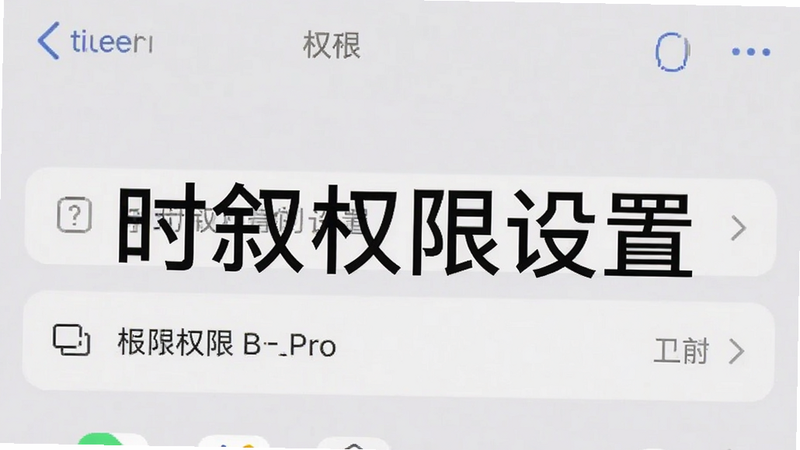 手机设置界面截图,显示权限管理选项,文字标注