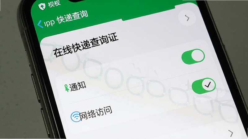 手机设置界面,显示“在线快递查询”APP的权限管理页面,勾选了“通知”和“网络访问”选项,背景为系统设置默认风格,清晰展示权限开启状态。高清,干净,无多余元素