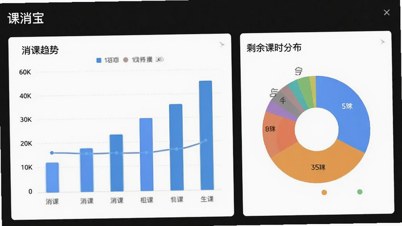 课消宝极简版统计报表界面,柱状图展示消课趋势,饼图展示剩余课时分布,数据清晰,图表美观,无多余元素,高清