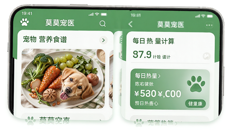 ĪĪ��ҽAPP��չʾ����Ӫ��ʳ�׿�Ƭ������ʳ��ͼƬ��ÿ���������㣬��ɫ�������⣬�Ű�����