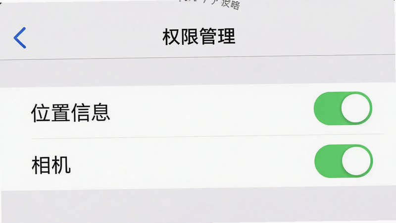 手机设置界面截图,显示“权限管理”页面,重点突出“位置信息”和“相机”权限开关为开启状态,风格简洁,界面元素清晰,背景白色,画质清晰,无多余干扰项