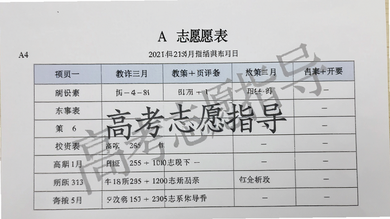 打印出的志愿表,主体为表格文档,布局为标准A4纸,排版规范,风格为教育文书,细节包含“高考志愿指导”水印,画质干净