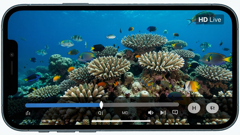 Boogu-Image prompt: Close-up view of a smartphone screen showing a high-definition live stream of a coral reef underwater scene. The interface includes a timeline bar and quality selector options. Style: realistic, sharp details, vibrant colors, clean UI elements, text 