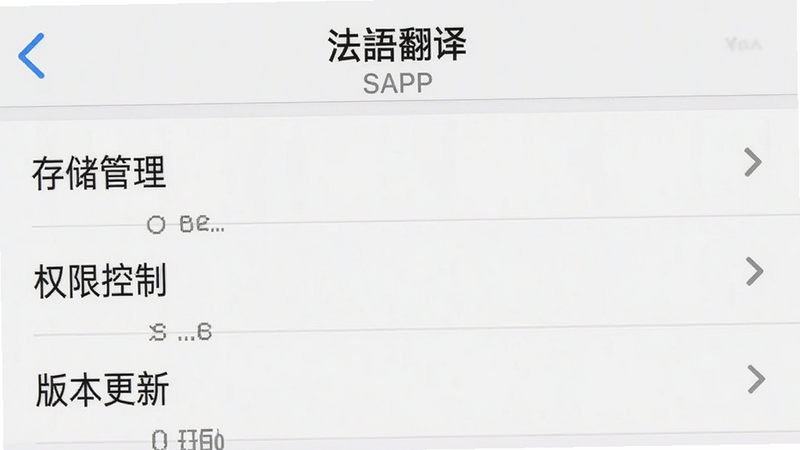 主体为“法语翻译”app的设置界面截图,布局为列表式,风格为系统原生UI,细节显示“存储管理”、“权限控制”和“版本更新”选项,背景为浅灰色,画质清晰干净无多余元素