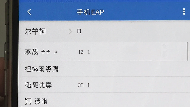 手机EAP设置菜单截图示例