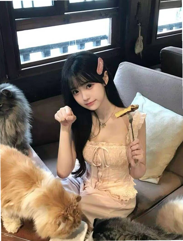 优e司机聚合版 与 高德地图 区别 搜索