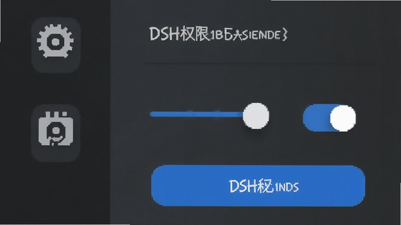 DSH权限设置界面,滑块开关,系统设置图标,深灰背景,蓝色高亮按钮,现代UI设计