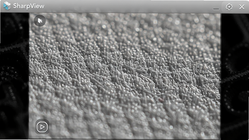 Close-up of a photo in SharpView showing fine texture details, zoomed in view, sharp contrast, clean UI overlay, 'SharpView' branding visible