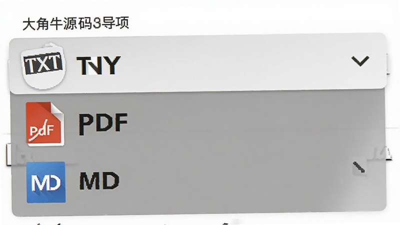 ���ţԴ�����ֵ���ѡ��˵���ͼ�������б���ʾTXT, PDF, MDͼ�꣬��ɫ��������ɫ���֣�������˵�UI���