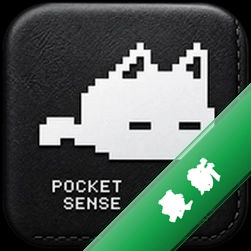 Pocket Sense