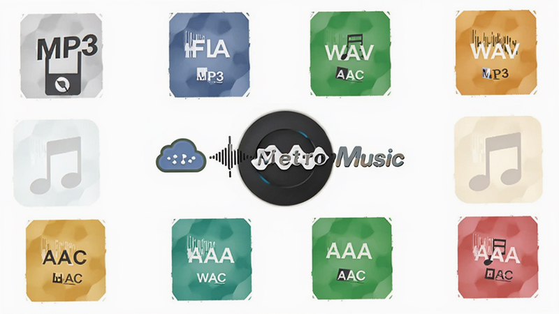 Audio format compatibility chart, icons for MP3 FLAC WAV AAC, MetroMusic logo in center, clean white background