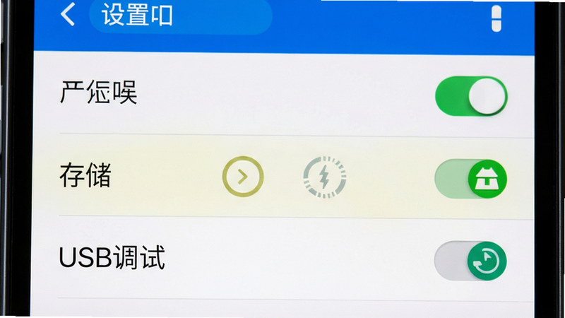 主体为手机设置权限界面,布局为列表形式,高亮显示“存储”和“USB调试”选项,风格为系统原生UI,细节包含开关状态,画质清晰,无多余元素