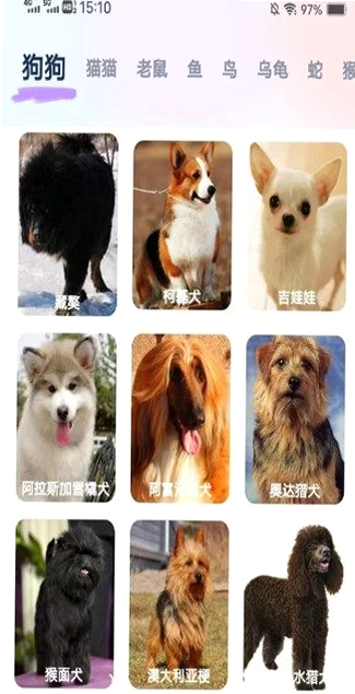 风云乐刷 安卓版 安全检测