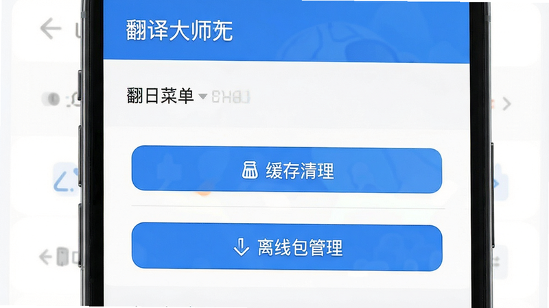 主体:翻译大师APP设置菜单中的性能优化选项,布局:列表形式,排版:清晰分层,风格:现代UI,细节:显示