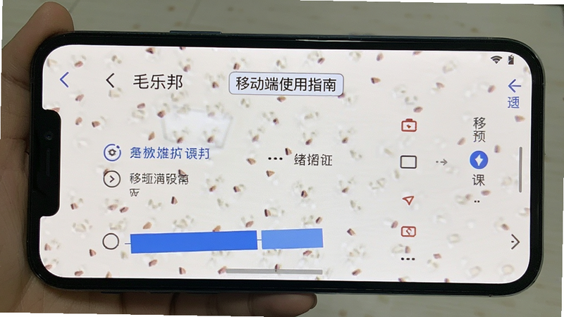 毛乐邦 移动端使用指南,展示手机屏幕上的操作界面,风格为教程截图,布局清晰,排版简洁,细节丰富,画质高,干净无多余元素
