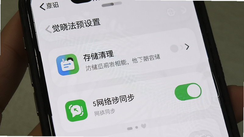 觉晓法硕手机设置界面,显示存储清理选项与网络同步开关,图标清晰,简洁风格,无杂乱元素