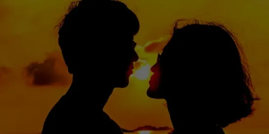 ̽��Լ��2026���°汾