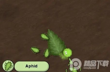 ��ζ���������2026���ذ�װ