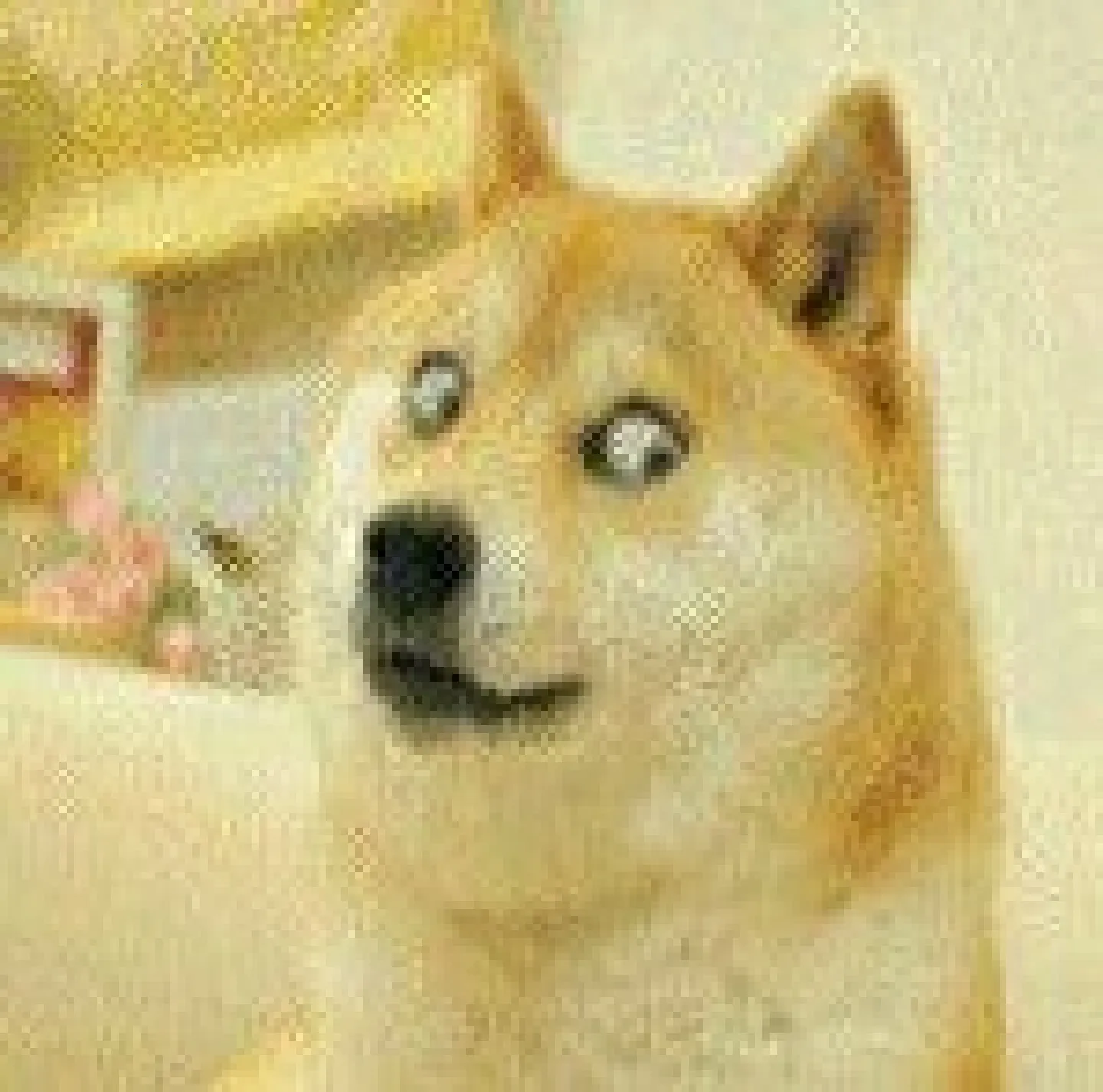 ����������62.0�汾����