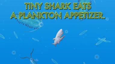 ��ζ������������ذ�װ