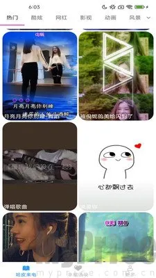 ��Ƥ�������ֻ���