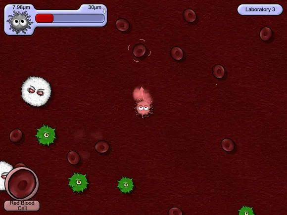 ��ζ����4���İ�����