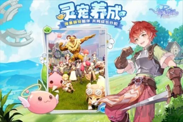 �ɾ���˵ro���������ֻ���